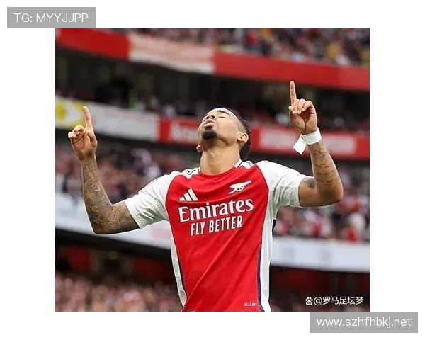 转会受挫亦有转机西汉姆联观察 转会受挫亦有转机西汉姆联观察